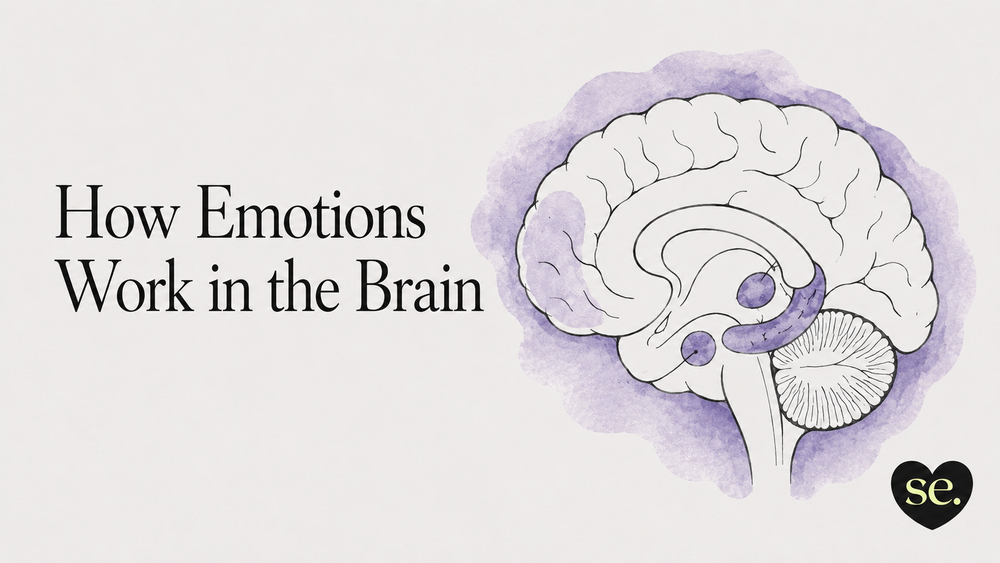 Blog cover illustration featuring a hand-drawn brain and the title “How Emotions Work in the Brain,” introducing how emotions are created and regulated by the brain.