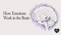 Blog cover illustration featuring a hand-drawn brain and the title “How Emotions Work in the Brain,” introducing how emotions are created and regulated by the brain.
