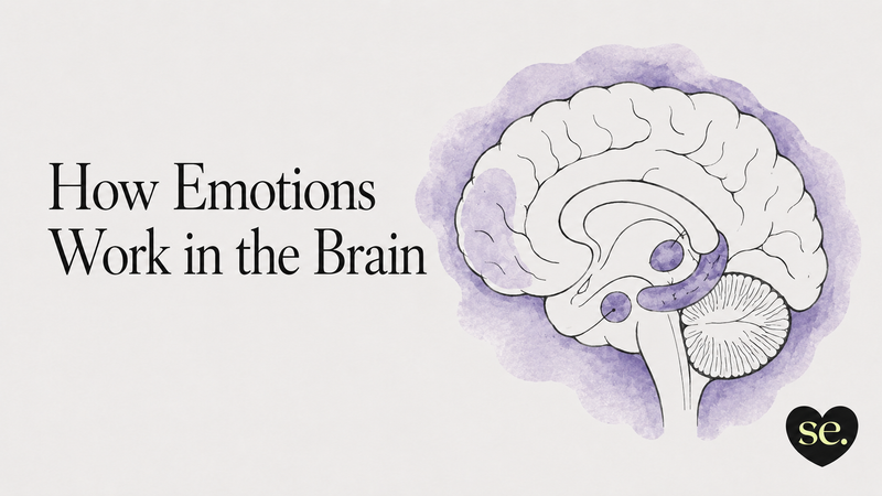 Blog cover illustration featuring a hand-drawn brain and the title “How Emotions Work in the Brain,” introducing how emotions are created and regulated by the brain.