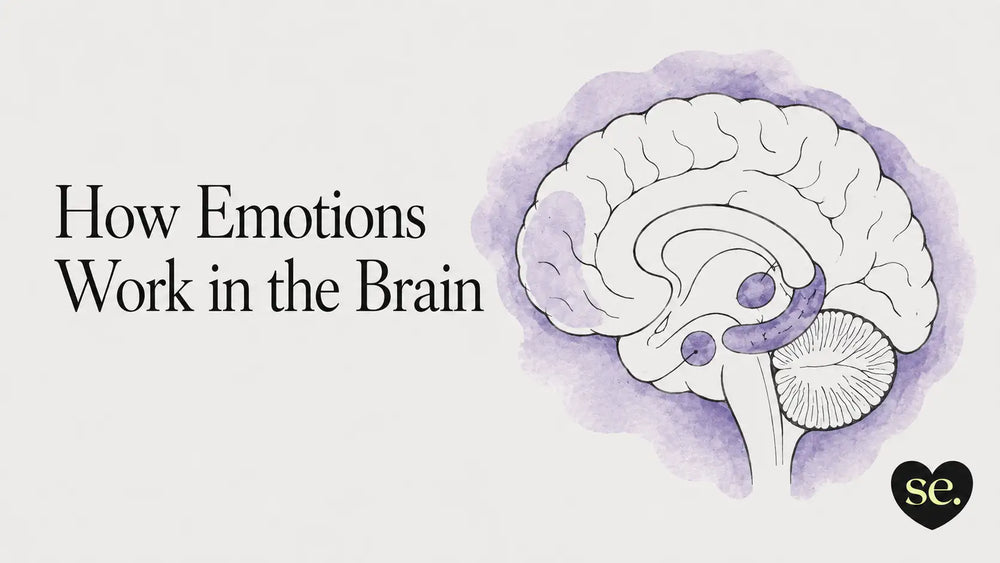 How Emotions Work in the Brain