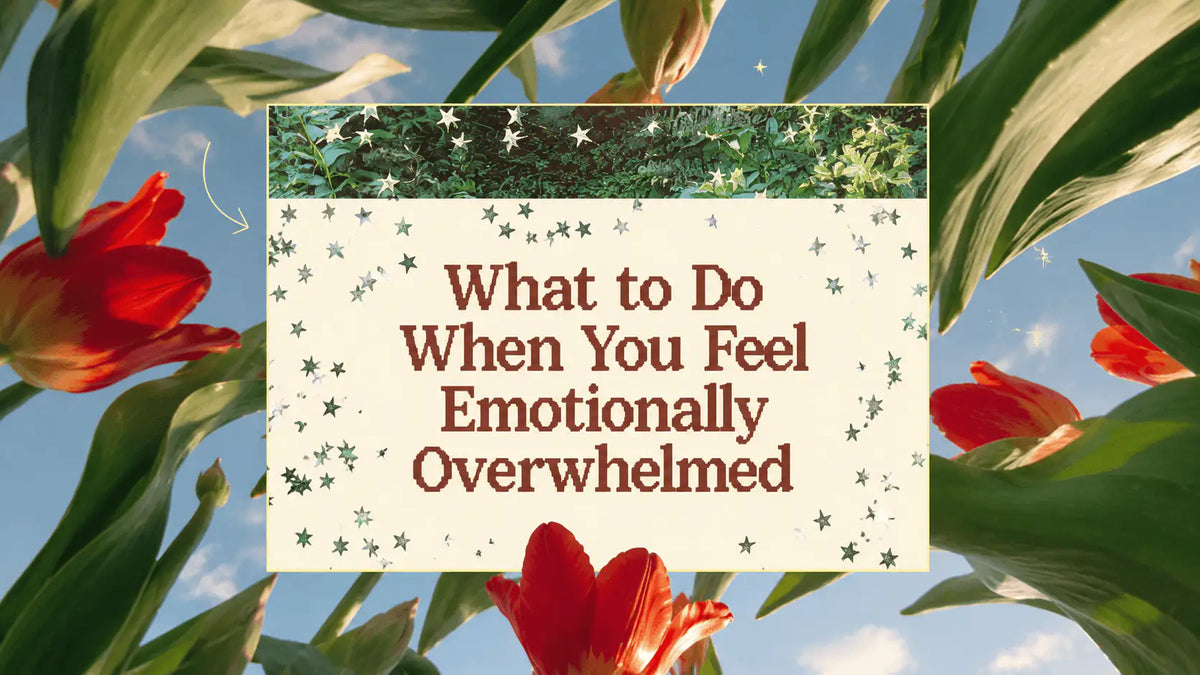 What to Do When You Feel Emotionally Overwhelmed