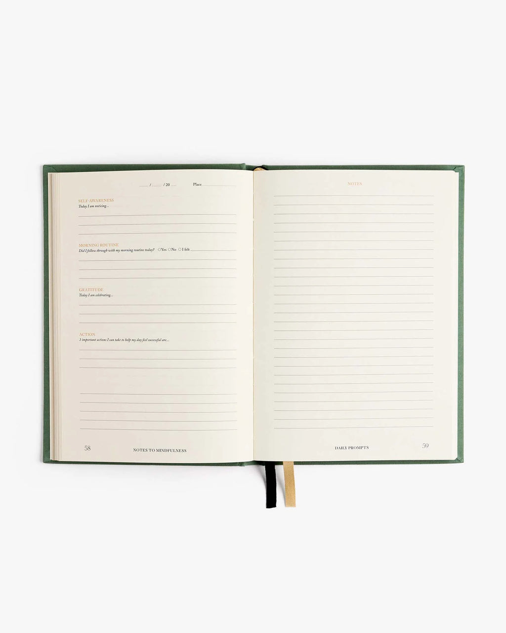 Intelligent Change Notes to Mindfulness Journal in Sage, image 4