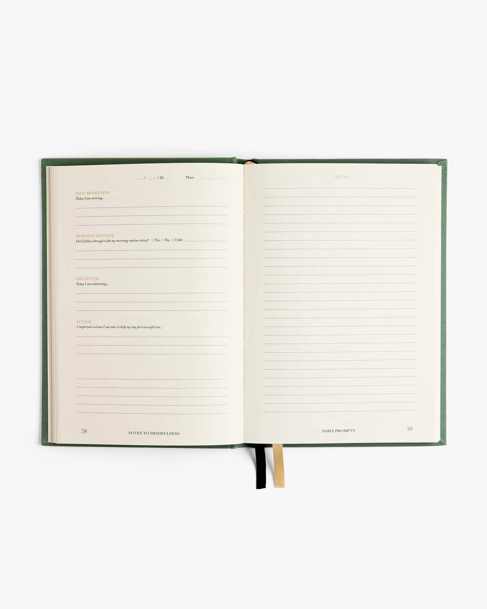 Intelligent Change Notes to Mindfulness Journal in Sage, image 4