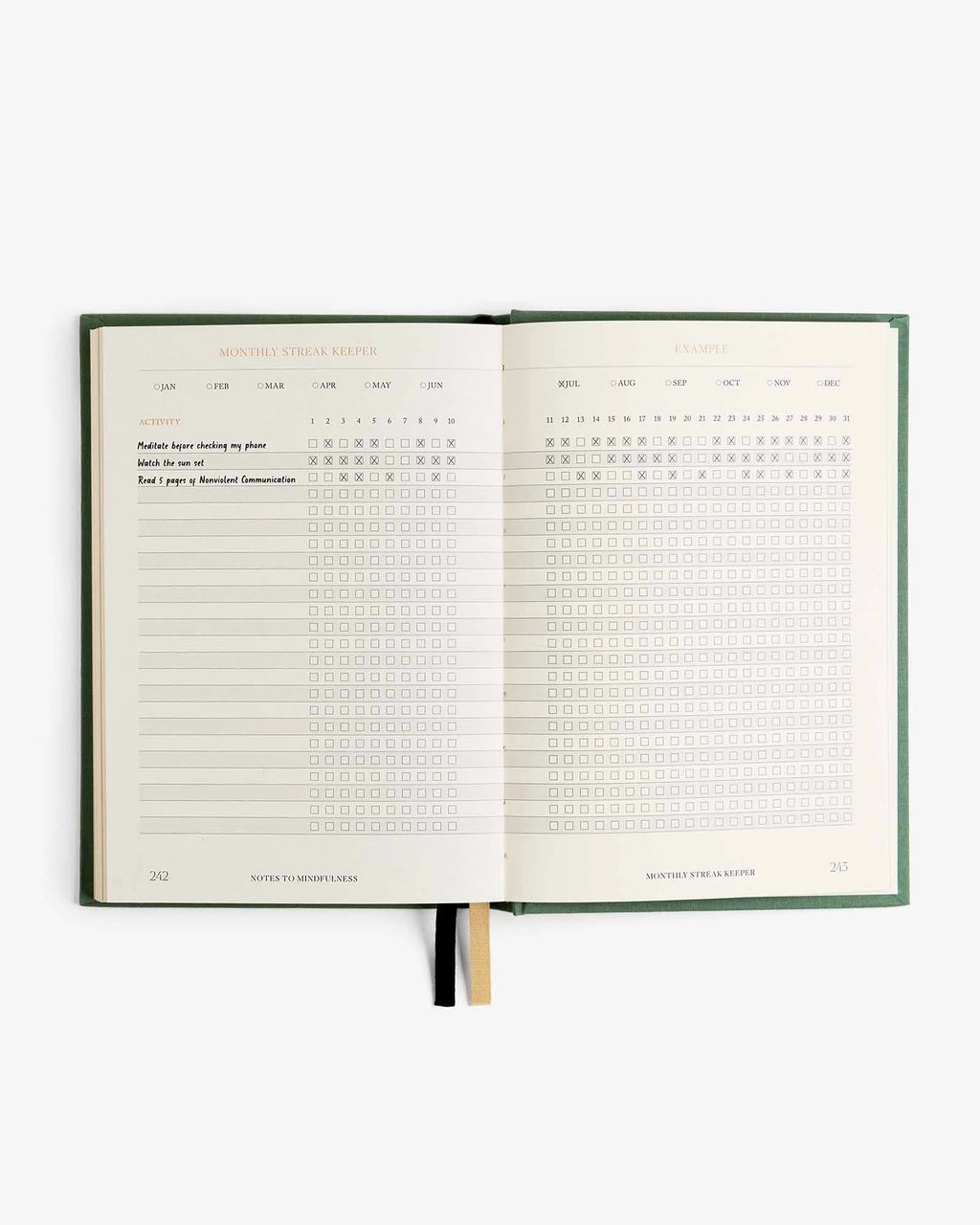 Intelligent Change Notes to Mindfulness Journal in Sage, image 7