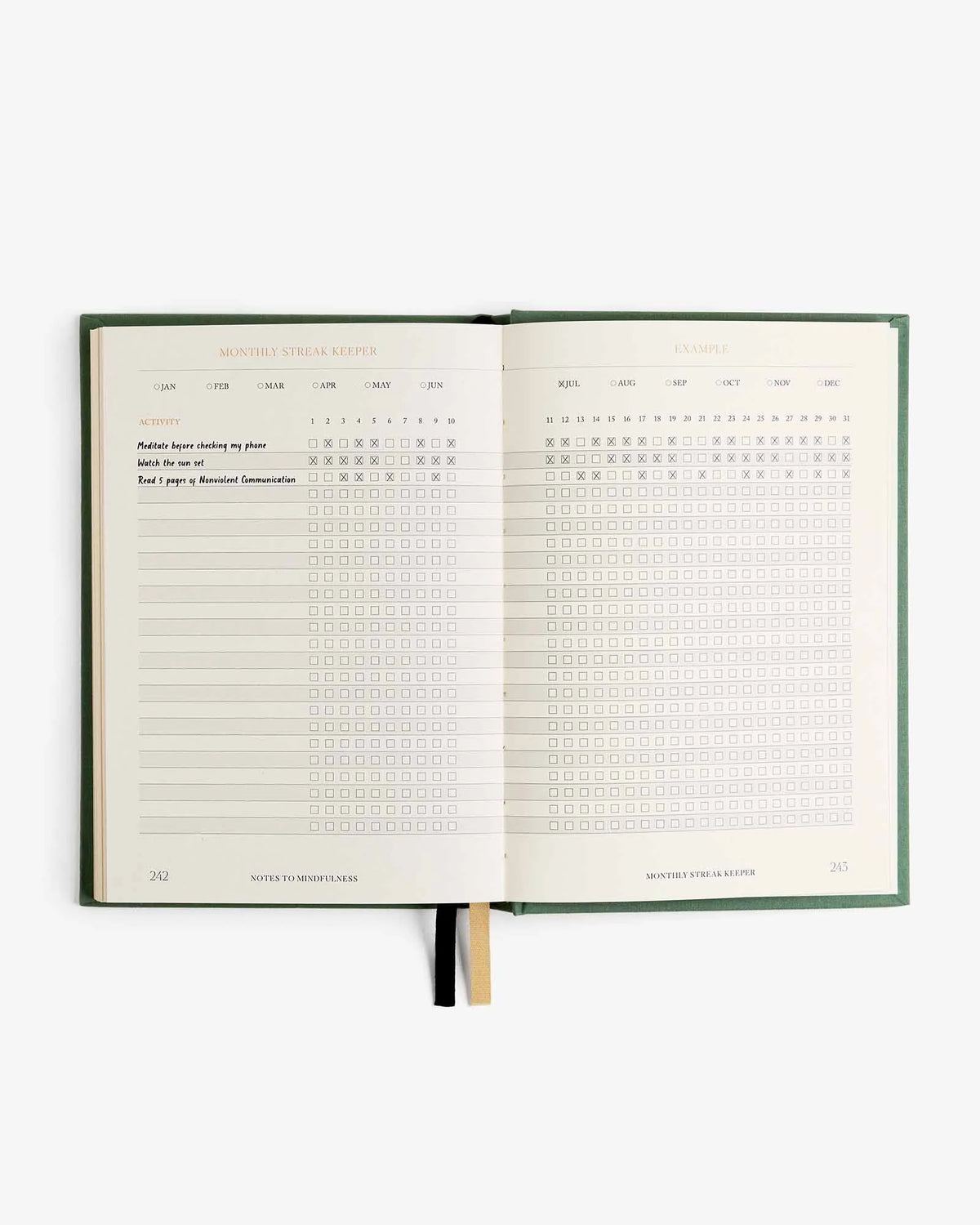 Intelligent Change Notes to Mindfulness Journal in Sage, image 7