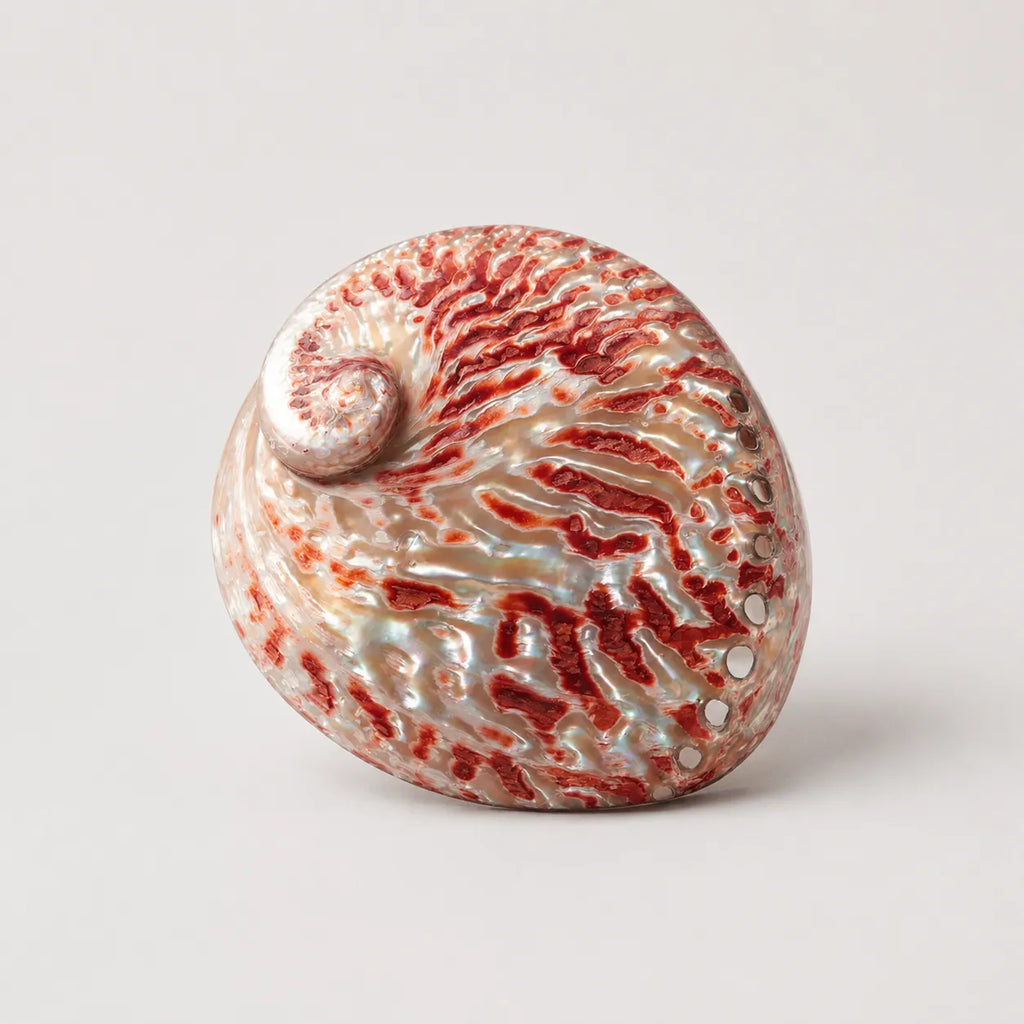 StillAura Red Abalone Shell Ritual Bowl; iridescent red home decor ornament, a unique accessory.