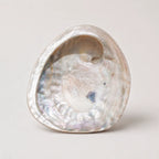 StillAura Red Abalone Shell Ritual Bowl home decor; vibrant iridescent red and brown ornament.