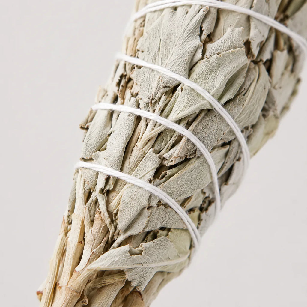 StillAura cedar aromatherapy stick for space cleaning and home fragrance, ready for a calming ritual.