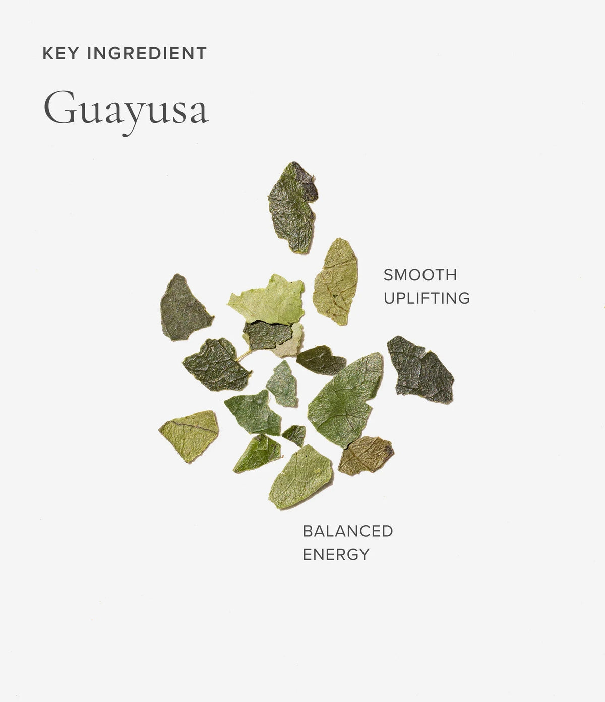 Guayusa ingredient for Happy Tea