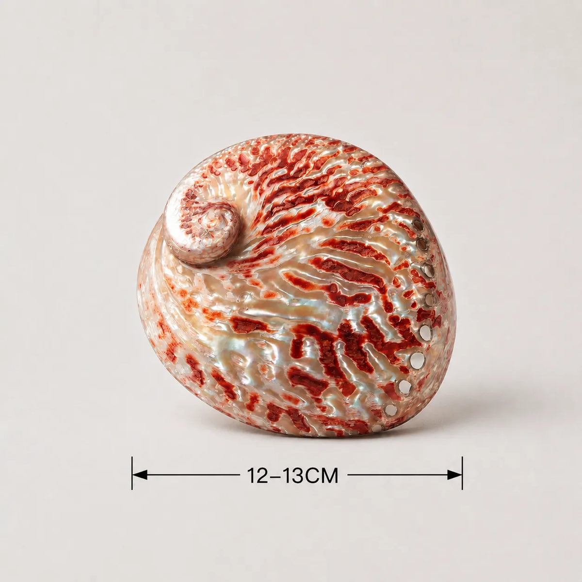 StillAura Red Abalone Shell Ritual Bowl, a vibrant red home accessory and ornament for rituals or home decor.