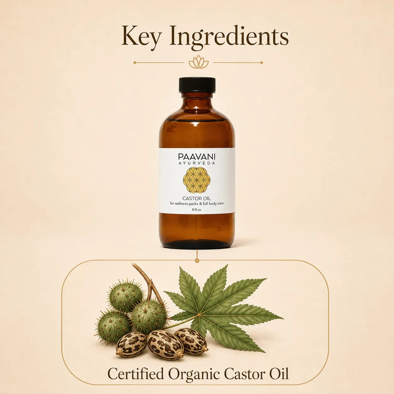 Paavani Ayurveda Castor Oil lifestyle application for body care