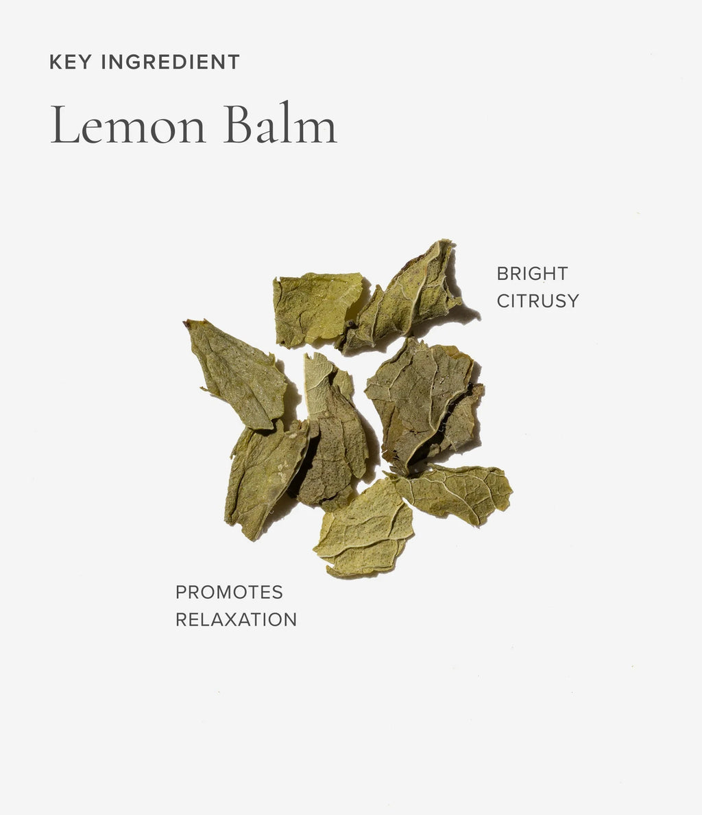 Lemon balm ingredient for Art of Tea Sleep tea