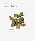 Lemon balm ingredient for Art of Tea Sleep tea