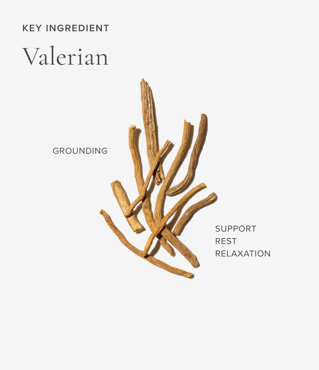 Valerian ingredient for Art of Tea Sleep tea