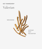 Valerian ingredient for Art of Tea Sleep tea