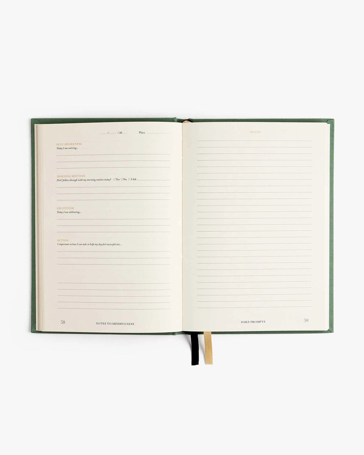 Intelligent Change Notes to Mindfulness Journal in Sage, image 4