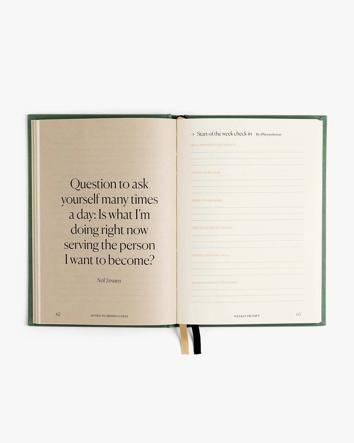 Intelligent Change Notes to Mindfulness Journal in Sage, image 5