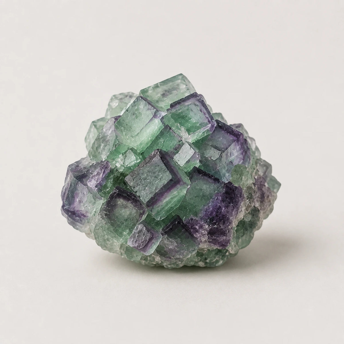 A natural fluorite crystal cluster with prominent green and purple cube formations, photographed on a neutral light gray background.