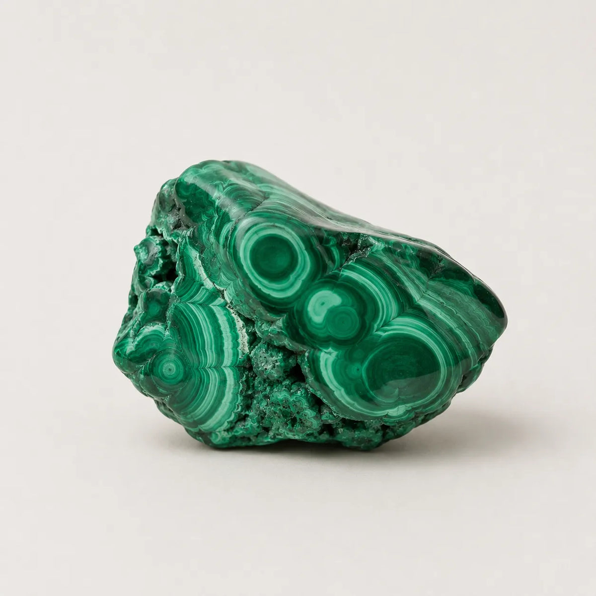 A polished green malachite crystal specimen with concentric banding patterns, displayed on a clean light gray background.